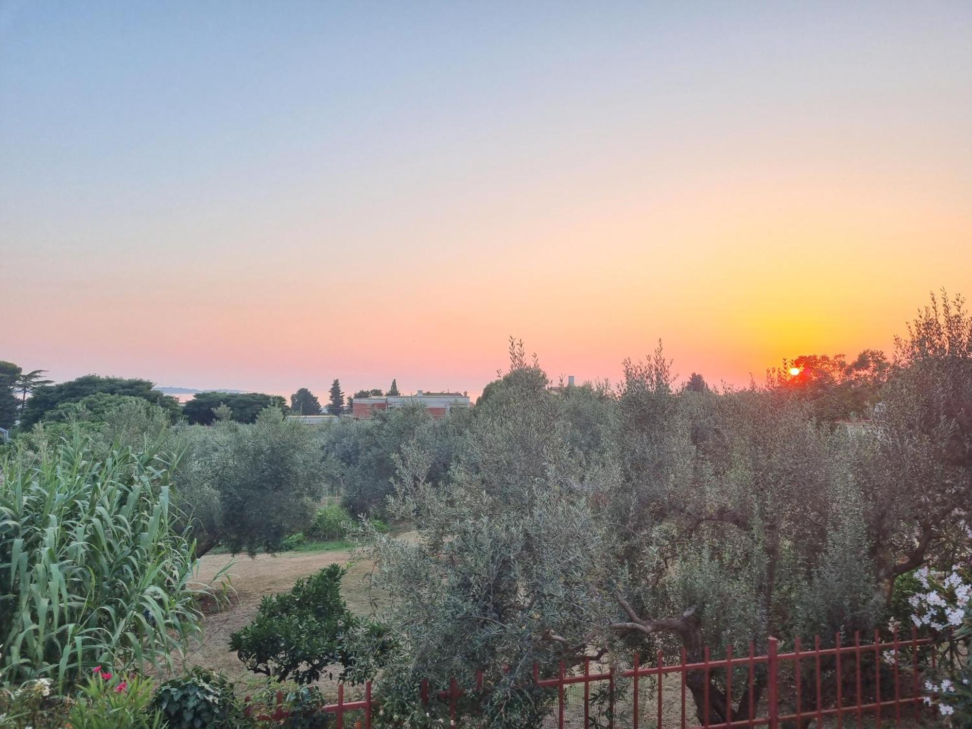 Apartments Jelena Peroj Dış mekan fotoğraf